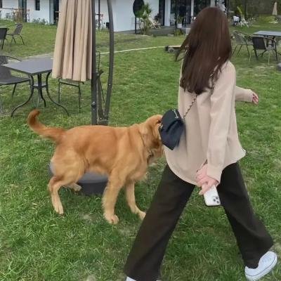 暗黑者3